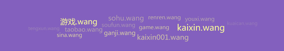 資源豐富,典藏眾多“王牌域名”